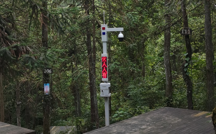 Intelligent video card port, intelligent voice card port, forest area card port monitoring system