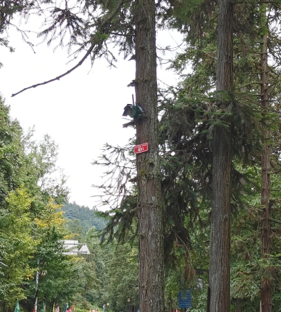 4G surface fire detector forest infrared flame detector